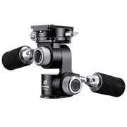 Leofoto FW-01R Pan and Tilt Head with RH-2L Panning Clamp and NP-60 Plate
