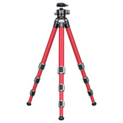 Leofoto LA-324C Athena Series 4 Section Water Resistant Carbon Fibre Tripod with Red LH-40LR (Lever Release) Ball Head