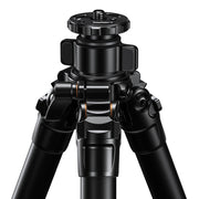 Leofoto LG-284C Black 4 Section Water Resistant Carbon Fibre Tripod with LH-36R Ball Head
