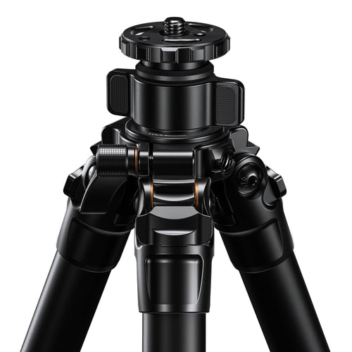 Leofoto LG-284C Black 4 Section Water Resistant Carbon Fibre Tripod with LH-36R Ball Head