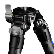 Leofoto LQ-324C Mr.Q Series 4 Section Carbon Fibre Tripod with LH-40LR (Lever Release) Ball Head
