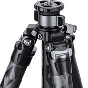 Leofoto LQ-365C Mr.Q Series 5 Section Carbon Fibre Tripod with LH-47LR (Lever Release) Ball Head