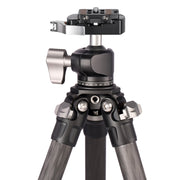 Leofoto LS-225C Ranger Series 5 Section Carbon Fibre Tripod with LH-25LR Ball Head