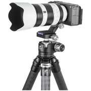 Leofoto SFC-01 Lens Collar for SONY FE 70-200mm F4 Macro G OSS II Telephoto Lens