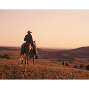 DZOFilm Arles Zoom 25-75/65-180mm FF Twin Lens Kit with Protective Case (PL Mount)