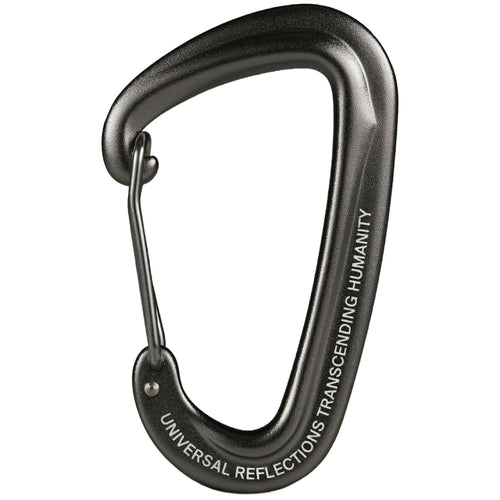 Urth Carabiner