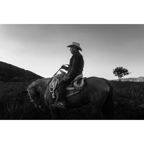 PolarPro Goldstache Filter Threaded