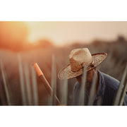PolarPro Goldstache Filter Threaded