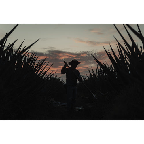 PolarPro Goldstache Filter Threaded