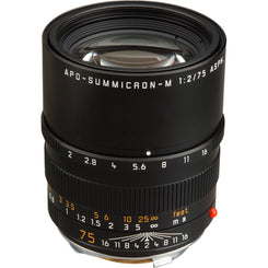 Leica APO-Summicron-M 75mm f/2 ASPH Lens (Black)