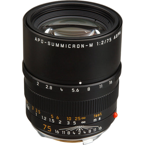 Leica APO-Summicron-M 75mm f/2 ASPH Lens (Black)