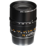 Leica APO-Summicron-M 75mm f/2 ASPH Lens (Black)