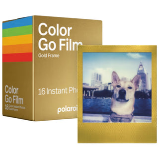 Polaroid Go Film Double Pack - Gold Frame Edition
