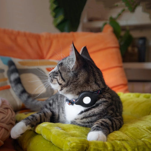 Elevation Lab TagVault: Cat Collar Mount for AirTag