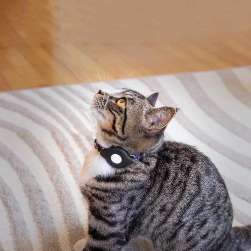 Elevation Lab TagVault: Cat Collar Mount for AirTag