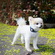 Elevation Lab TagVault: Cat Collar Mount for AirTag