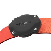 Elevation Lab TagVault: Pet for AirTag