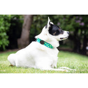 Elevation Lab TagVault: Pet for AirTag