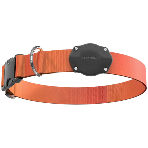 Elevation Lab TagVault: Pet for AirTag - Glow in the Dark - 2 Pack