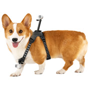 Insta360 Pet Harness Mount Size M for GO 3/GO 3S