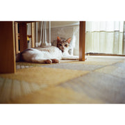 Rollei 35 AF Camera