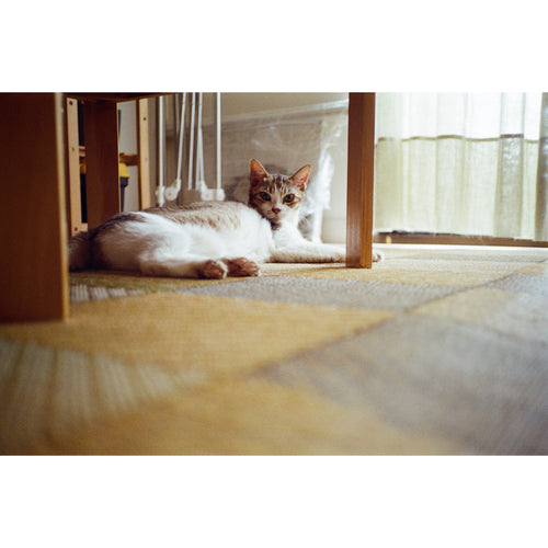 Rollei 35 AF Camera