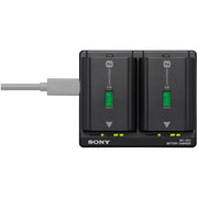 Sony FP-FZ100 USB-C Dual Charger with PD