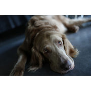 Sony a7C II (Silver) with FE 16-25mm f/2.8 G Lens