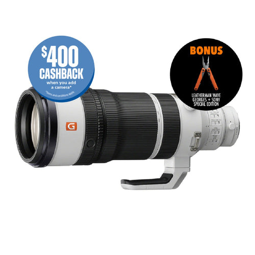 Sony FE 100-400mm f/4.5 GM OSS Lens