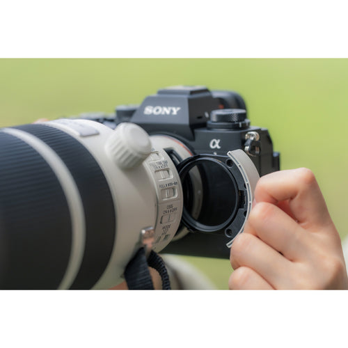 Sony FE 100-400mm f/4.5 GM OSS Lens