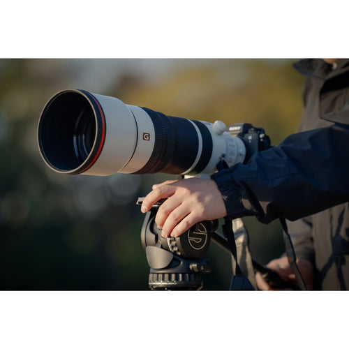 Sony FE 100-400mm f/4.5 GM OSS Lens