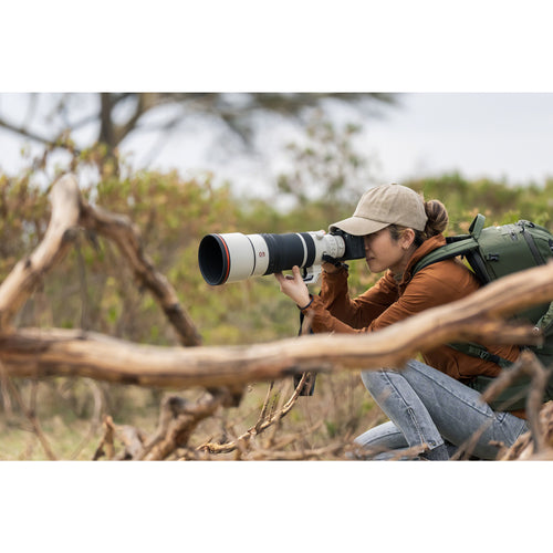 Sony FE 100-400mm f/4.5 GM OSS Lens