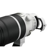 Sony FE 100-400mm f/4.5 GM OSS Lens