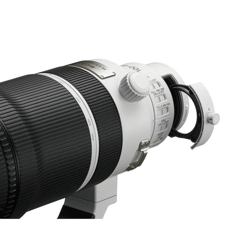 Sony FE 100-400mm f/4.5 GM OSS Lens