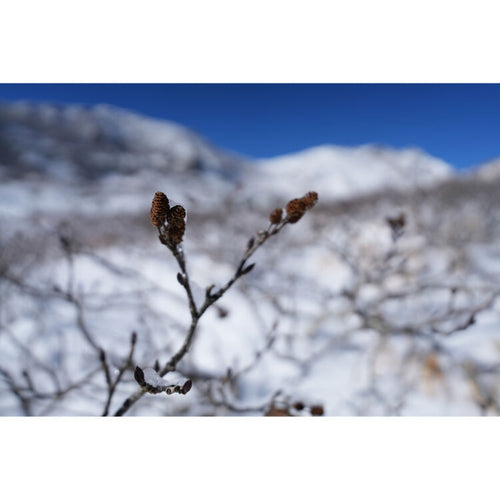 Sony a7C II (Silver) with FE 16-25mm f/2.8 G Lens