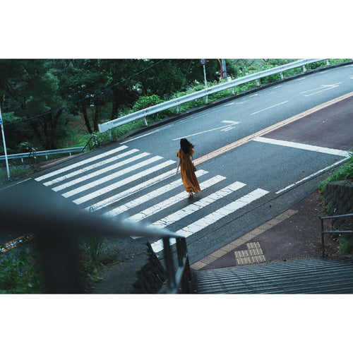 Sony A1 II with FE 28-70mm f/2 GM Lens