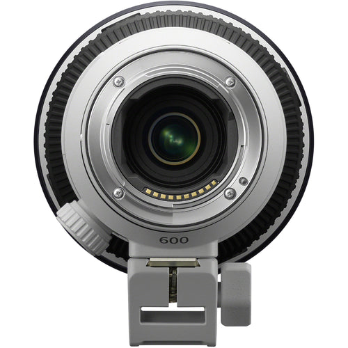 Sony FE 600mm f/6.3 OSS Super Telephoto Lens