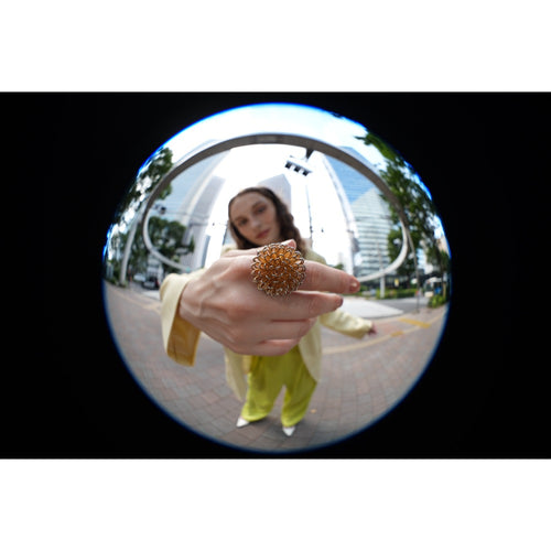 Sony 8-14mm f/3.5 Fisheye G Lens