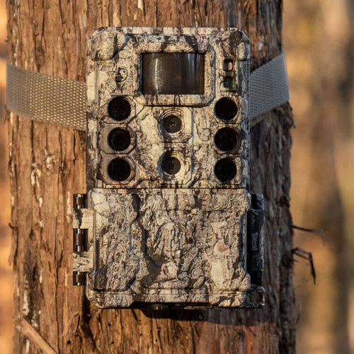 Bushnell Core DS-4K No Glow 32MP Trail Camera
