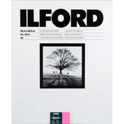 Ilford Multigrade IV RC DLX 20x24/10 Glossy