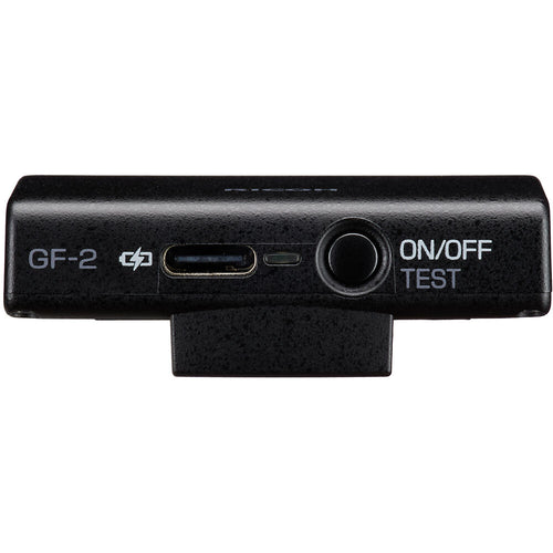 Ricoh GF-2 External Flash