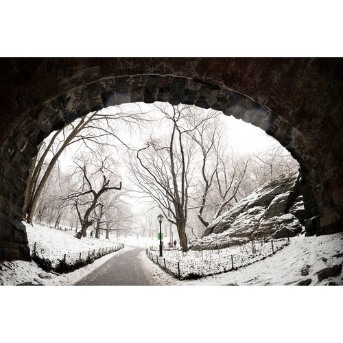 Sigma 15mm f/1.4 Fisheye DG DN Art Lens (Sony E)