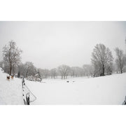 Sigma 15mm f/1.4 Fisheye DG DN Art Lens (Leica L)