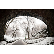 Sigma 15mm f/1.4 Fisheye DG DN Art Lens (Leica L)