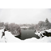 Sigma 15mm f/1.4 Fisheye DG DN Art Lens (Leica L)