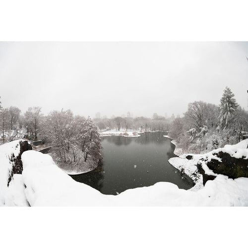 Sigma 15mm f/1.4 Fisheye DG DN Art Lens (Leica L)