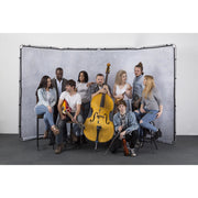 Manfrotto LL LB7904 Lastolite Panoramic Background 4m Cover Limestone