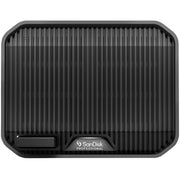 SanDisk Professional 44TB G-RAID Mirror 2-Bay Thunderbold 3 Array