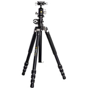 Vanguard VEO 3T+ 234AB Tripod / Monopod with BH-110S Ball Head