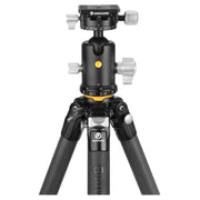 Vanguard VEO 5 304CB250S Carbon Fibre Tripod with Ball Head